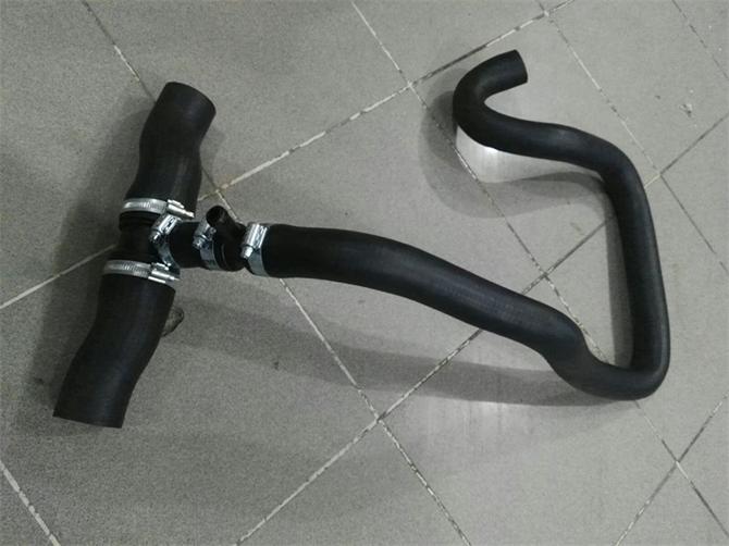 Radiator Lower Hose