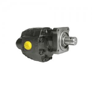 ISO Gear Pump