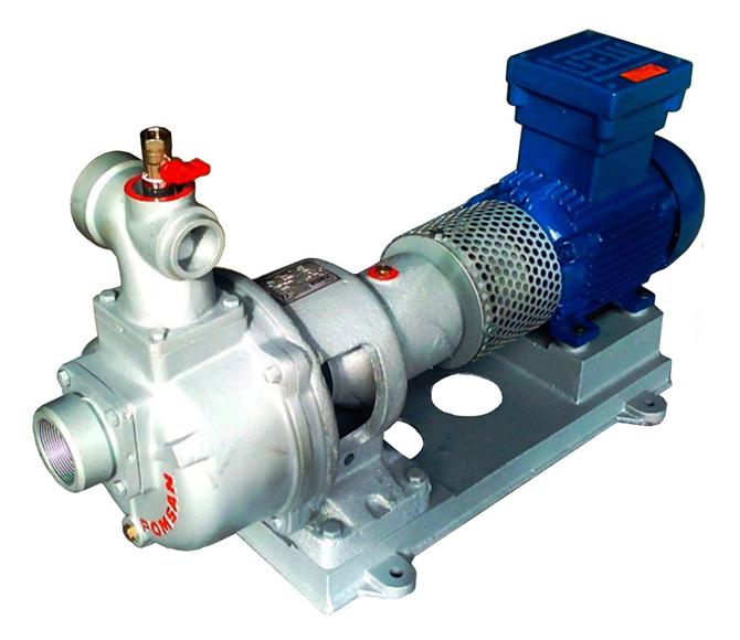 KE 2'' Self-Priming Pump