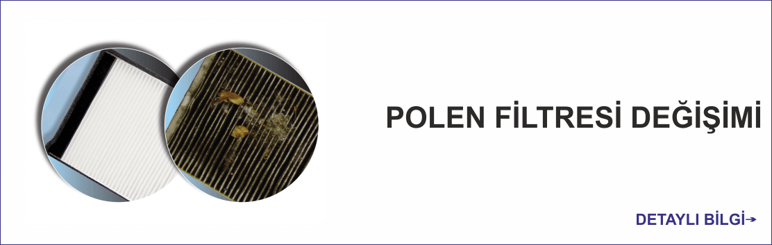 POLEN FILTER REPLACEMENT