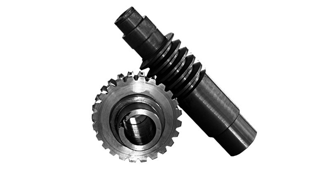 Endless Gear and Worm Screw