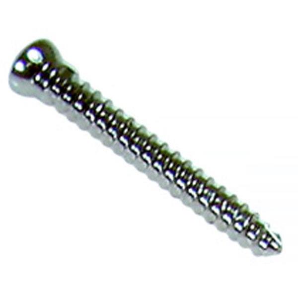 Distal Screw