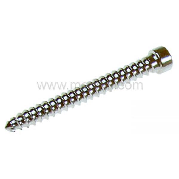 Proximal Femoral Nail Screw