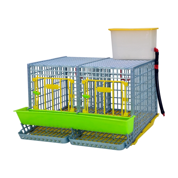 Chicken Cage – MIDI