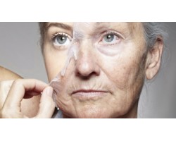 Anti-aging/anti wrinkle Kremler