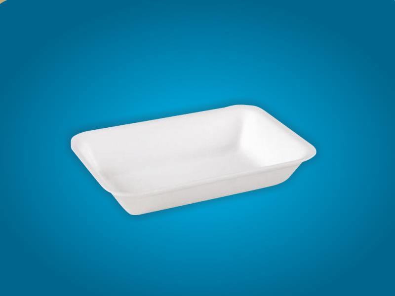 Foam Plate Rectangle