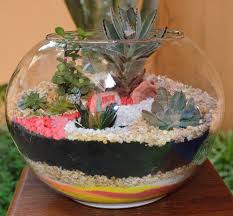 terrarium