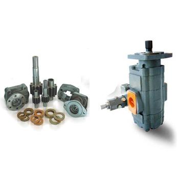 P31 Series Bearing Type Pumps And Motors