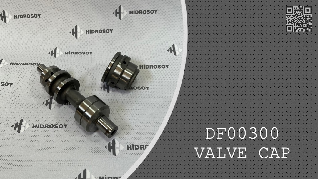 VALVE CAP - DF00300