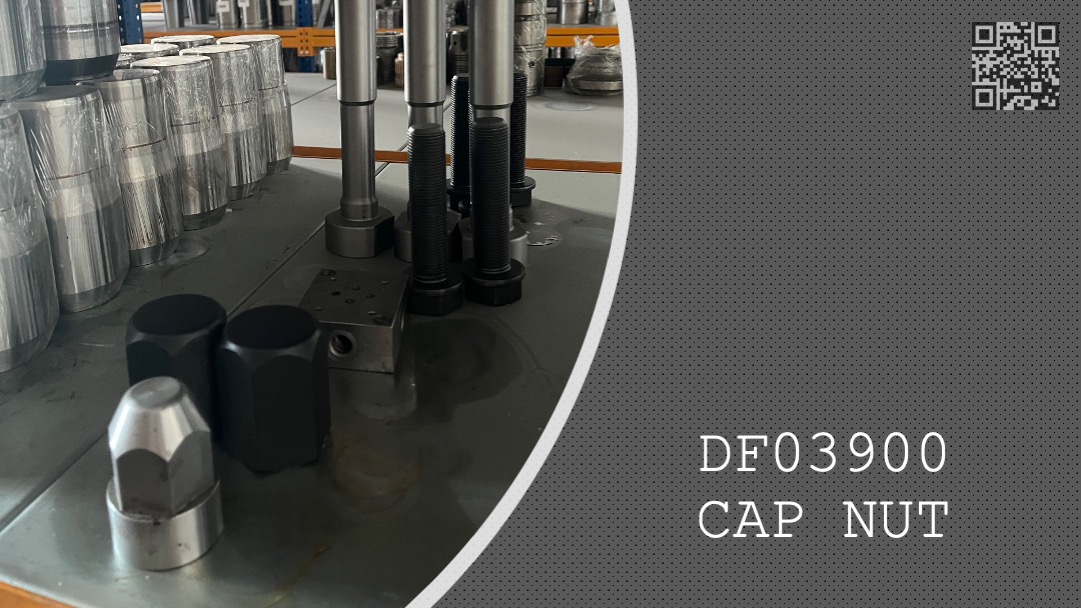 CAP NUT - DF03900