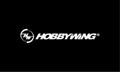 Hobby Wing Motor