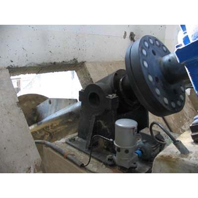 Screw Pump