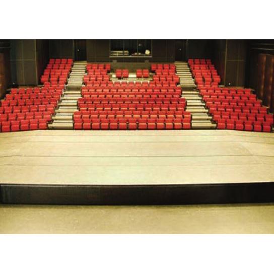 Stage Platform