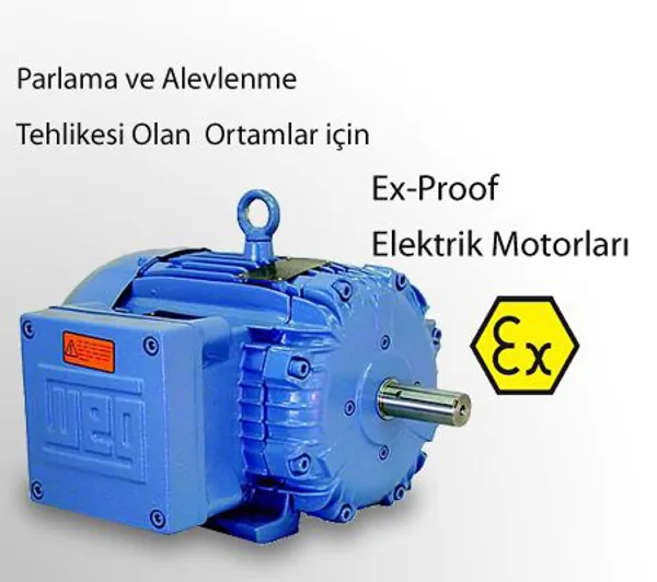 EX-PROOF ELEKTRİK MOTORU