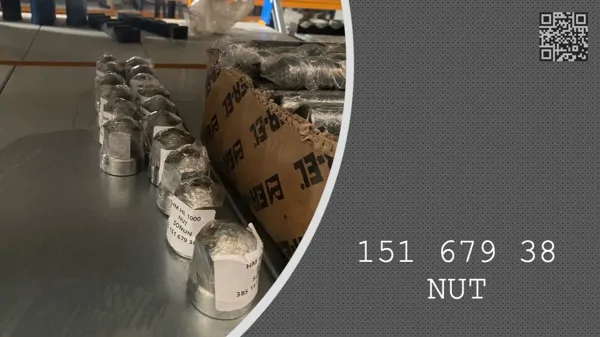 NUT - 151 679 38 - 15167938