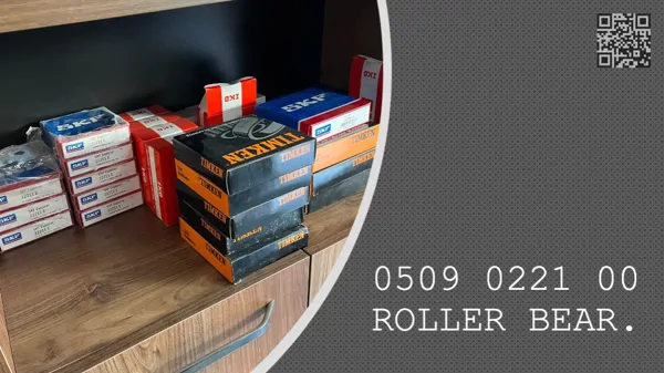 ROLLER BEARING - 0509 0221 00 - 0509022100