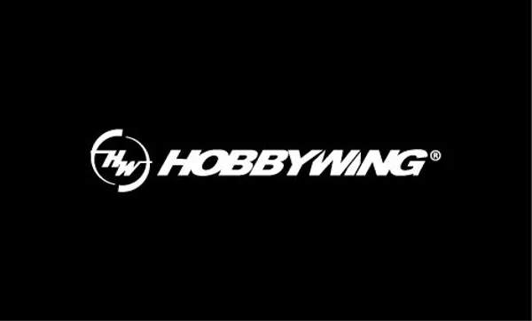 HOBBY WING MOTOR