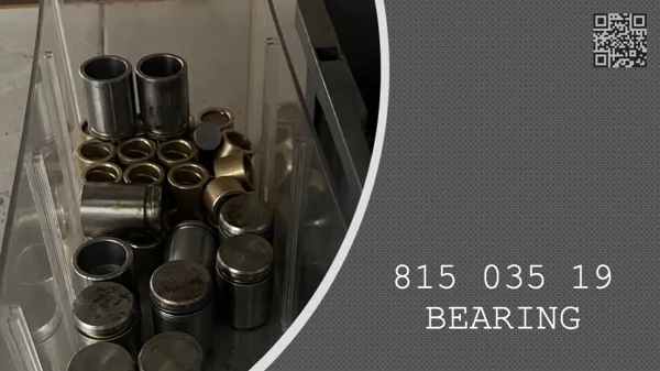 BEARING - 815 035 19 - 81503519