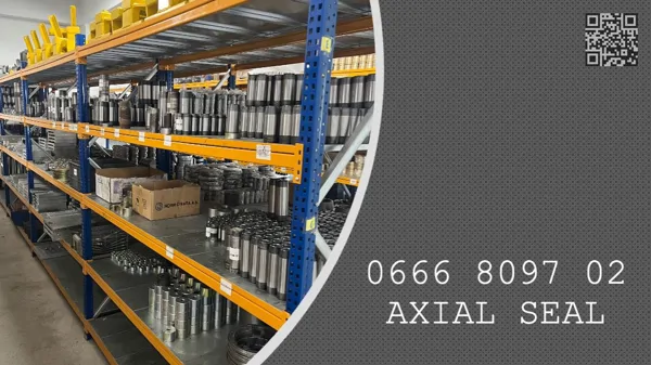 AXIAL SEAL - 0666 8097 02 - 0666809702