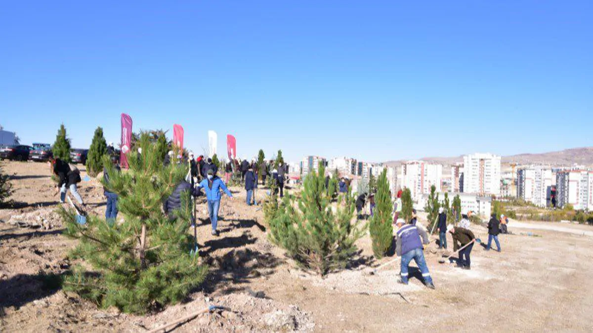 3,000 Saplings Planted in OSTİM