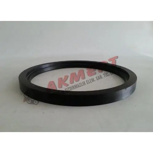 Putzmeister Printing Ring