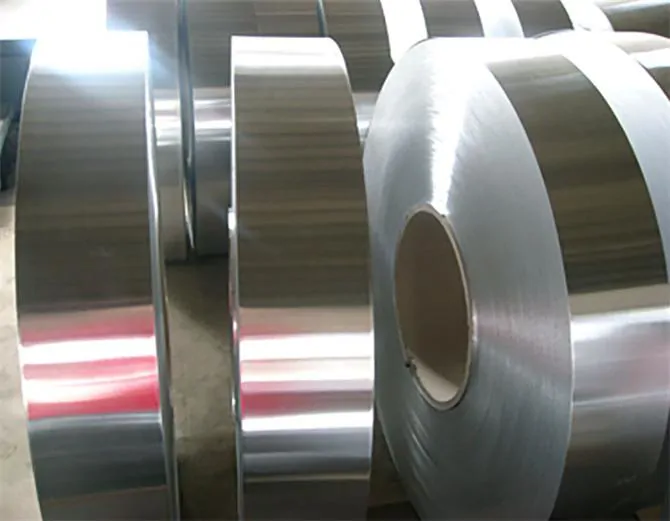 Stainless Steel Strip
