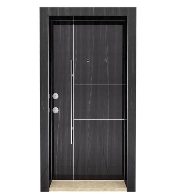 Steel Door