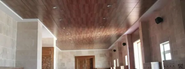 Gustafs Ahşap Asma Tavan Sistemleri