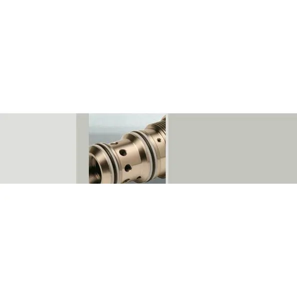 Drain Valve