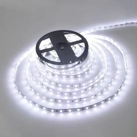 Decorative LED Lighting