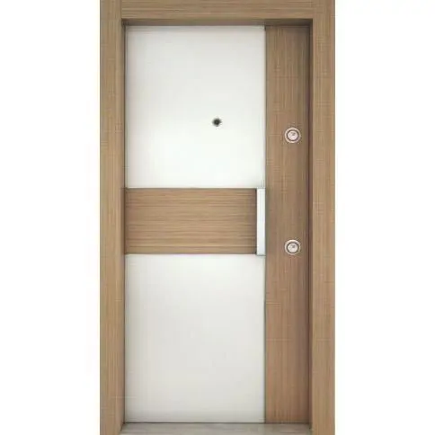 Gold Series Steel Door