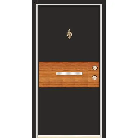 Gold Series Steel Door