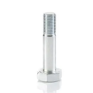 Hexagonal Bolt