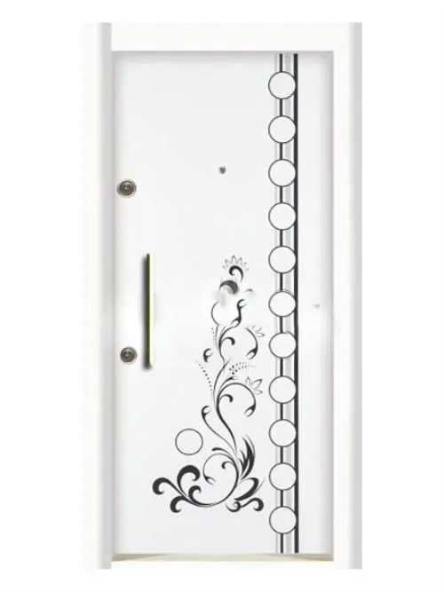 STEEL DOOR