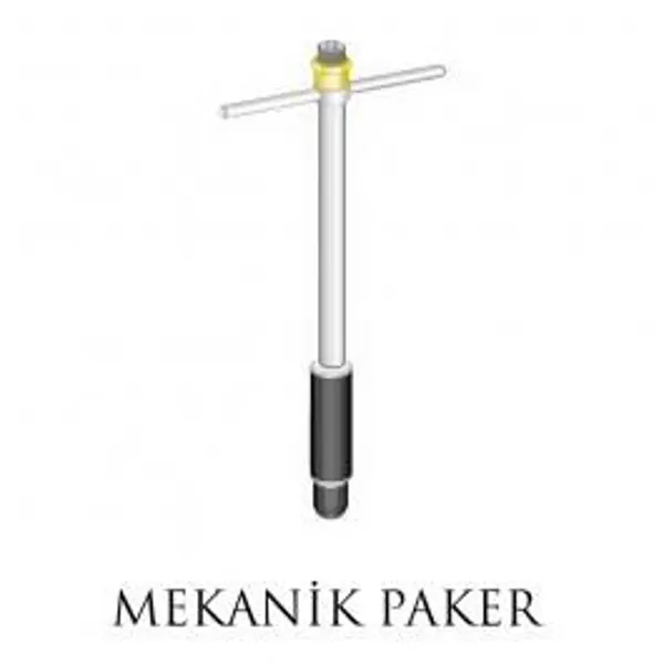 Mekanik Paker