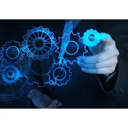Consulting Services