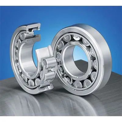 EW Series Roller Bearing