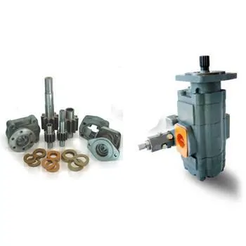 P31 Series Ball Bearing Type Pumps and Motors