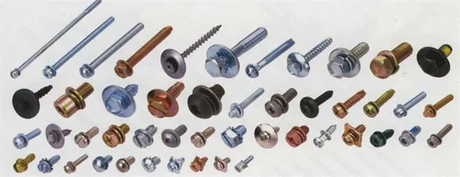 Washer Screw