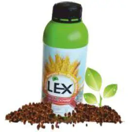 Plant-Based Liquid Organic Fertilizer