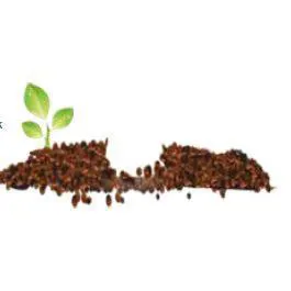 Echo Power Truva 15+15+15+15 S03 New Generation Base Fertilizer
