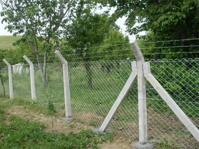 Barbed Wire Fences with Concrete Posts