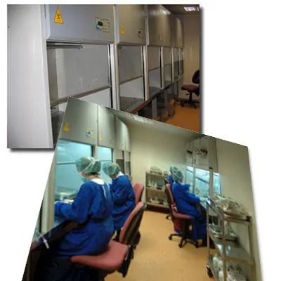 Laminar Air Flow Cabinet