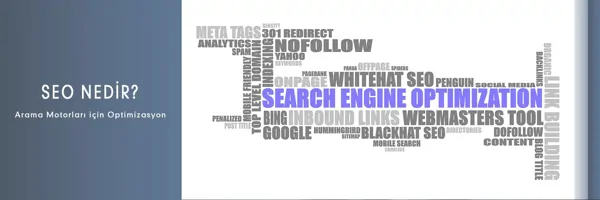 SEO (Arama Motoru Optimizasyonu)