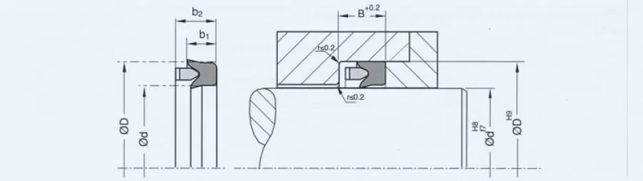 High and Low Pressure Water Seals