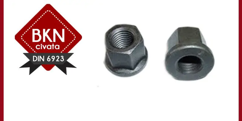 FLANGED NUT