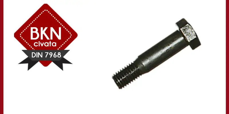 HEXAGONAL BOLTS