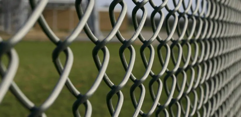 Galvanized Wire Mesh