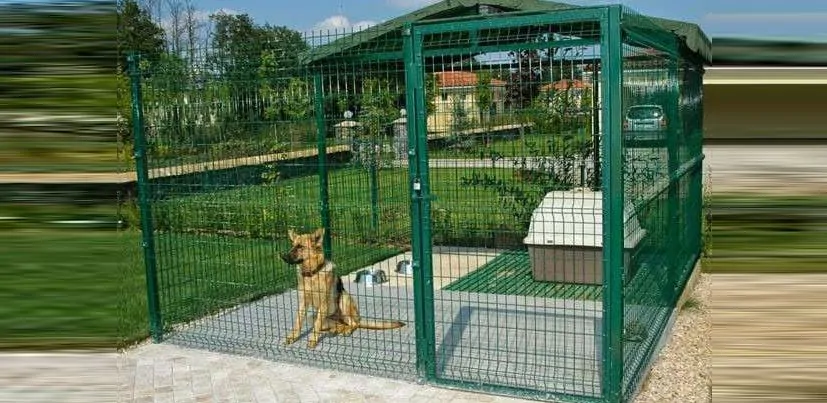 Animal Shelters