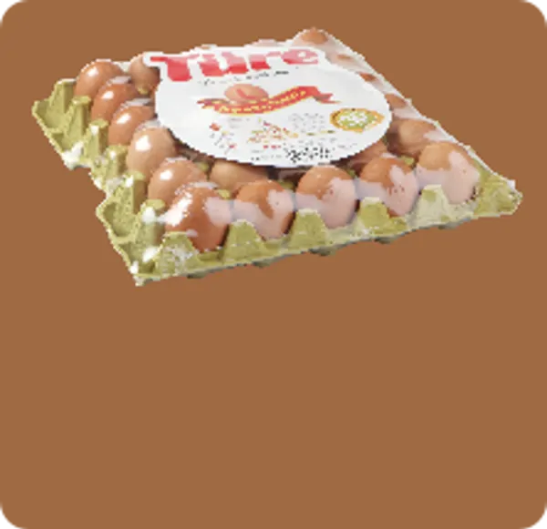 Yumurta
